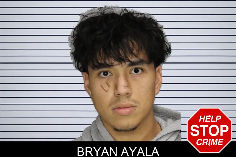 Bryan Ayala Mugshots