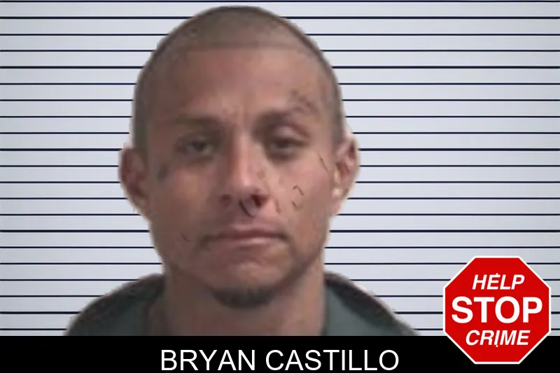 Bryan Castillo Mugshots