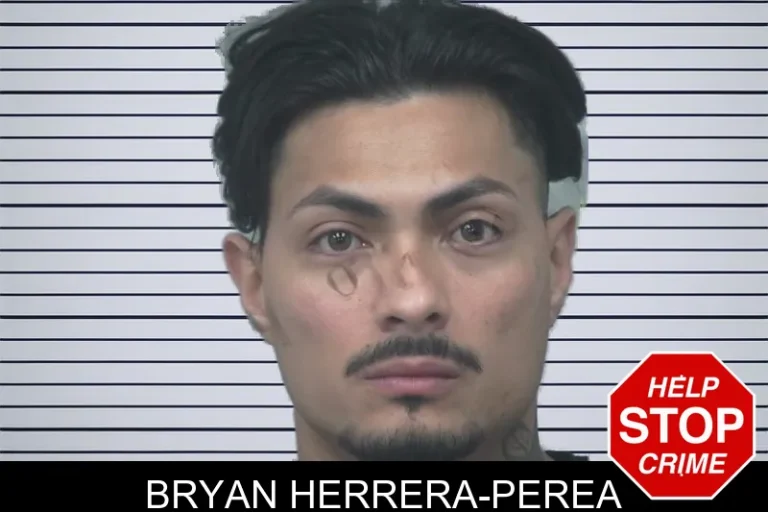 Bryan Herrera-Perea