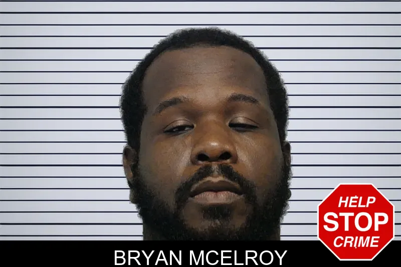 Bryan McElroy mugshot