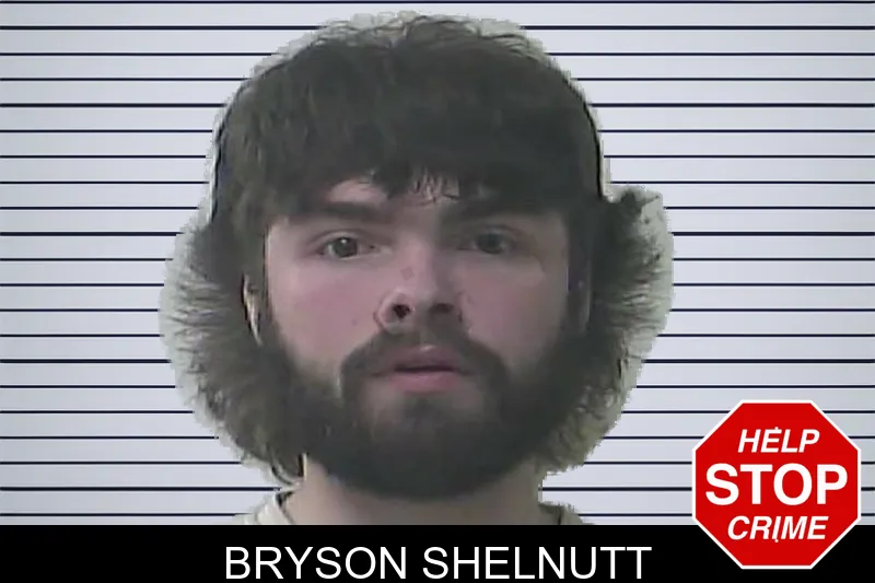 Bryson Shelnutt Mugshots