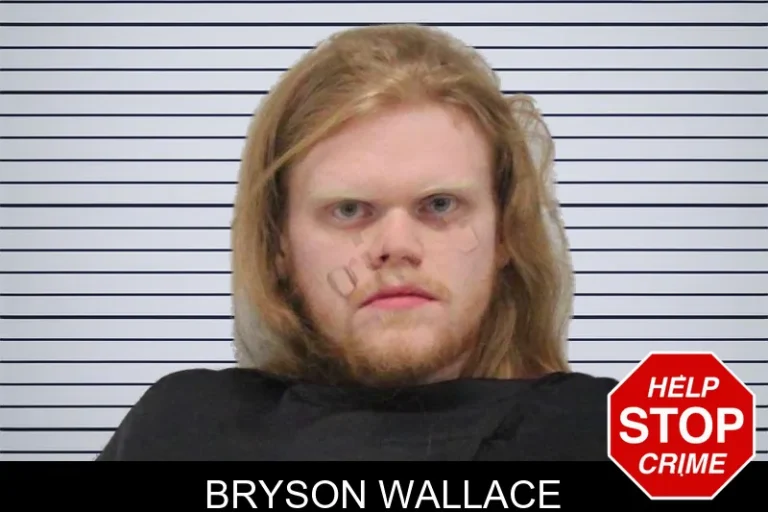 Bryson Wallace mugshot – Carroll County , Georgia Bryson Wallace