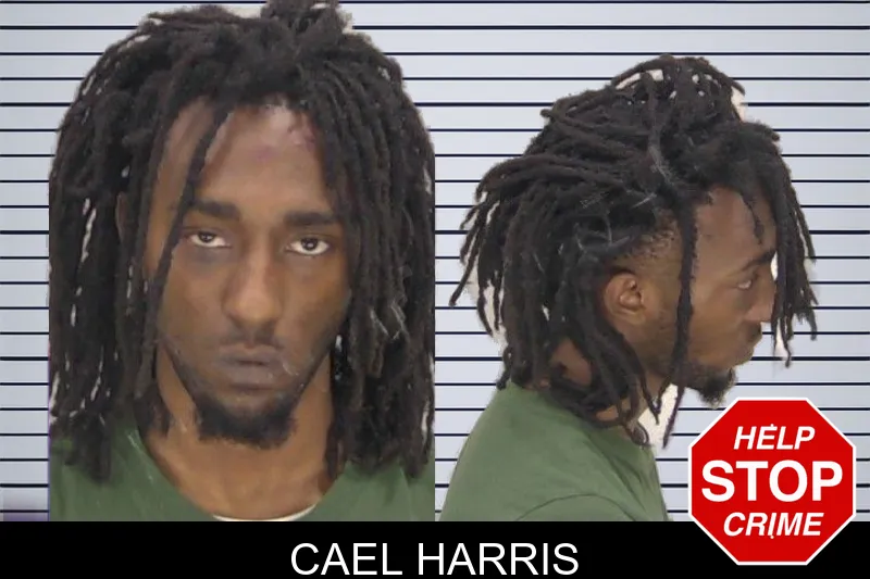 Cael Harris Mugshots