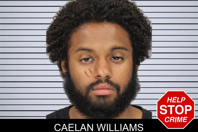 Caelan Williams mugshot – Cobb County , Georgia Caelan Williams mugshot