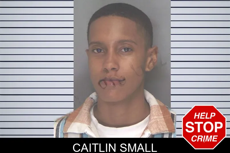 Caitlin Small Mugshots