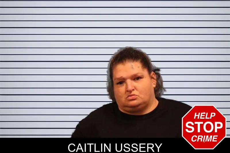 Caitlin Ussery Mugshots