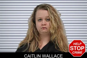 Caitlin Wallace mugshot