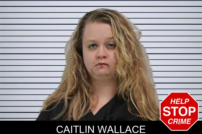 Caitlin Wallace Mugshots