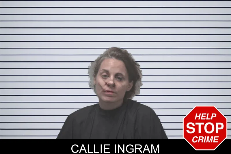 Callie Ingram Mugshots