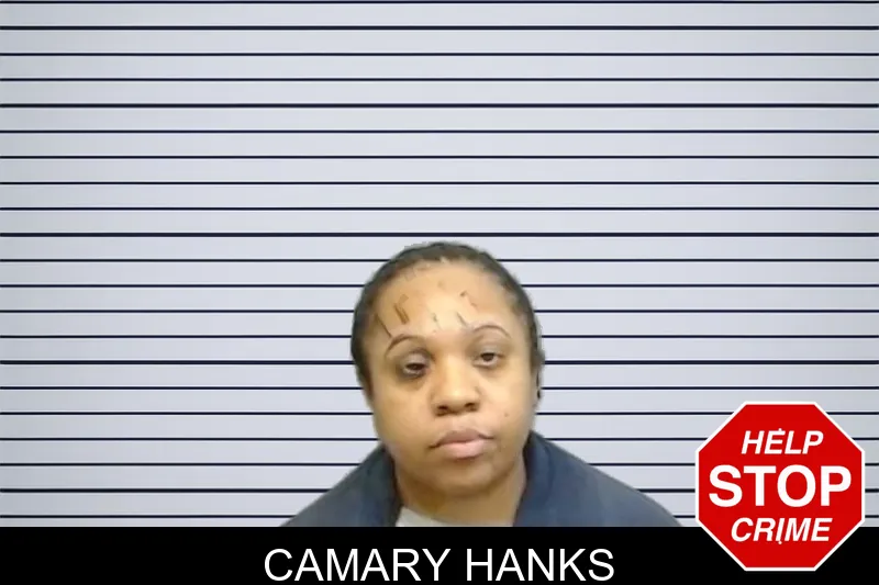 Camary Hanks mugshot – Fulton County , Georgia Camary Hanks mugshot
