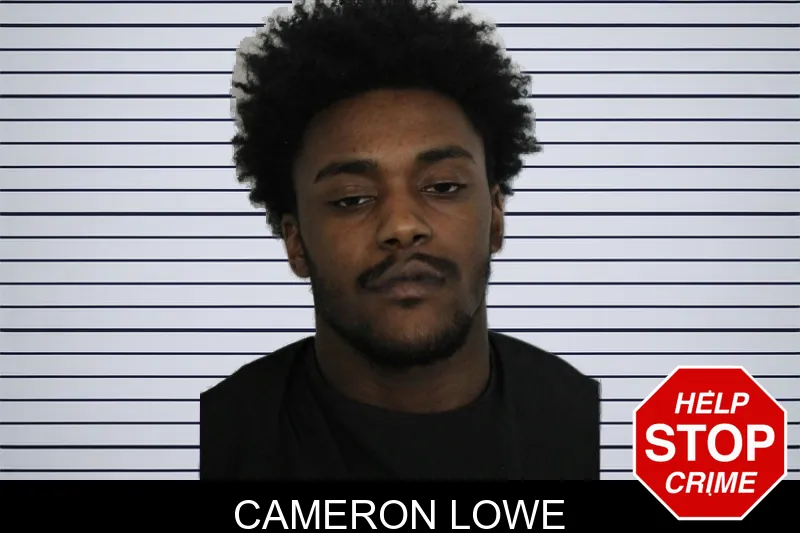 Cameron Lowe mugshot