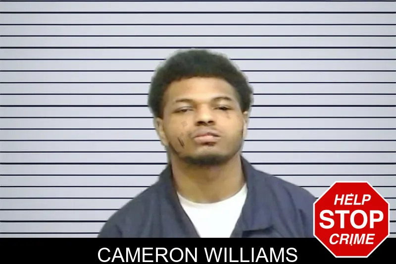 Cameron Williams mugshot – Fulton County , Georgia Cameron Williams mugshot