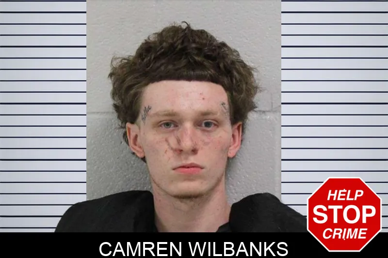 Camren Wilbanks Mugshots