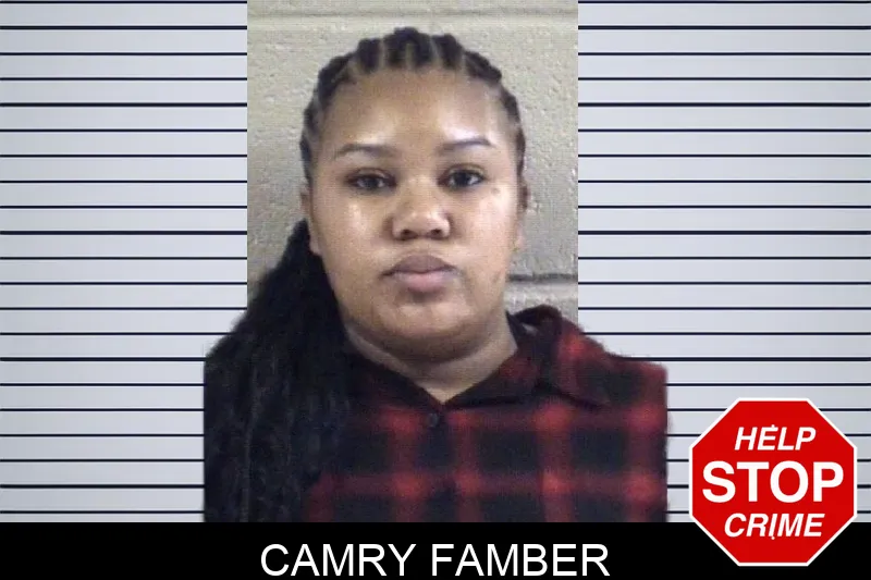 Camry Famber Mugshots