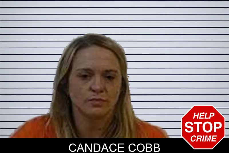 Candace Cobb mugshot