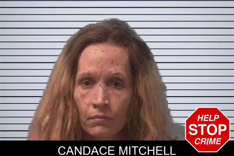 Candace Mitchell