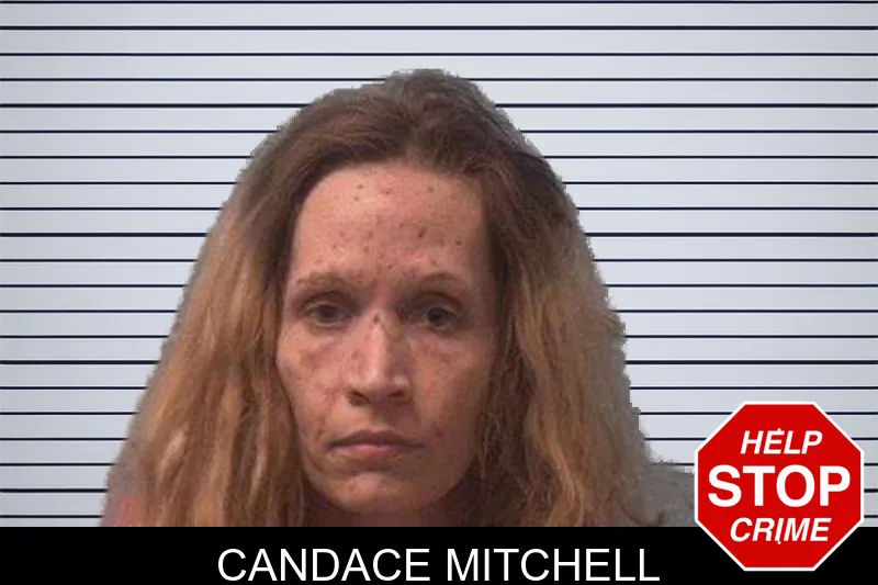 Candace Mitchell mugshot
