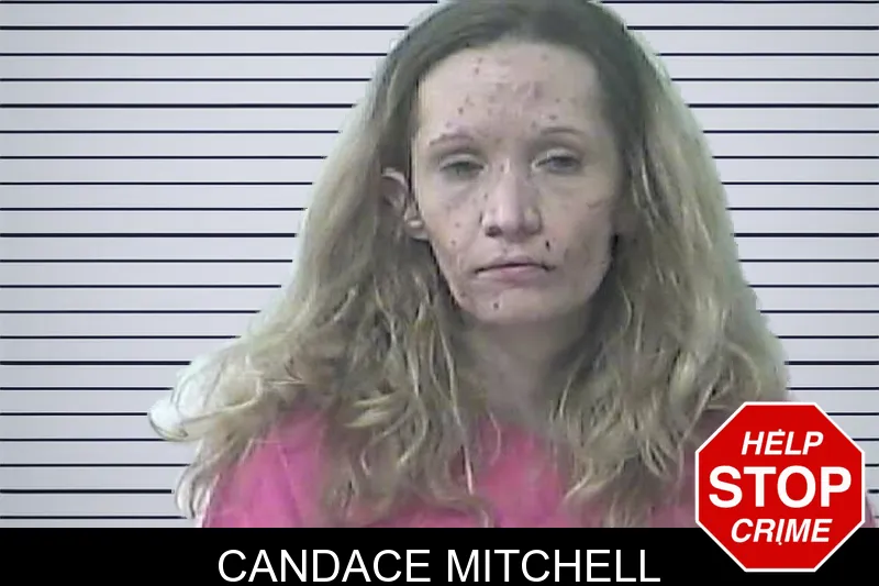 Candace Mitchell mugshot