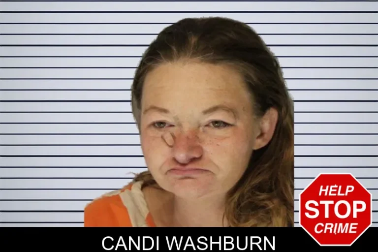 Candi Washburn mugshot – Hall County , Georgia Candi Washburn