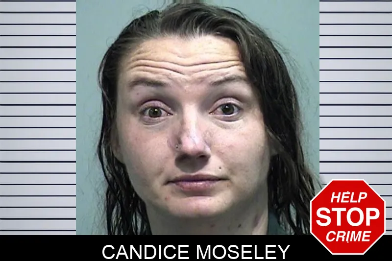 Candice Moseley Mugshots
