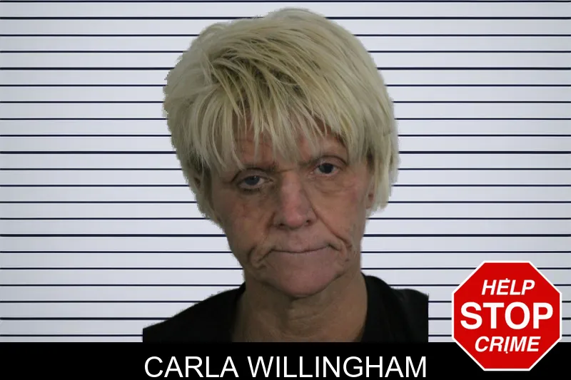 Carla Willingham Mugshots