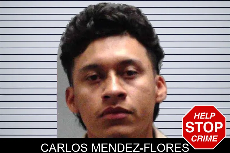 Carlos Mendez-Flores mugshot