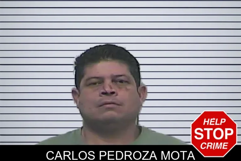Carlos Pedroza Mota