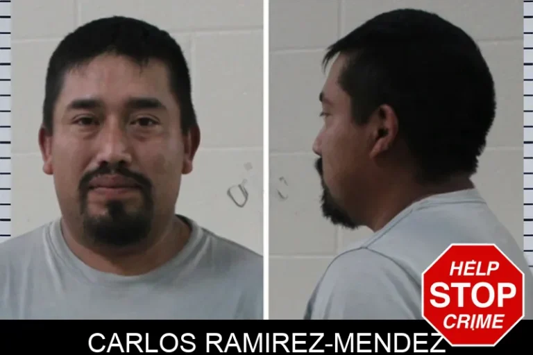 Carlos Ramirez-Mendez