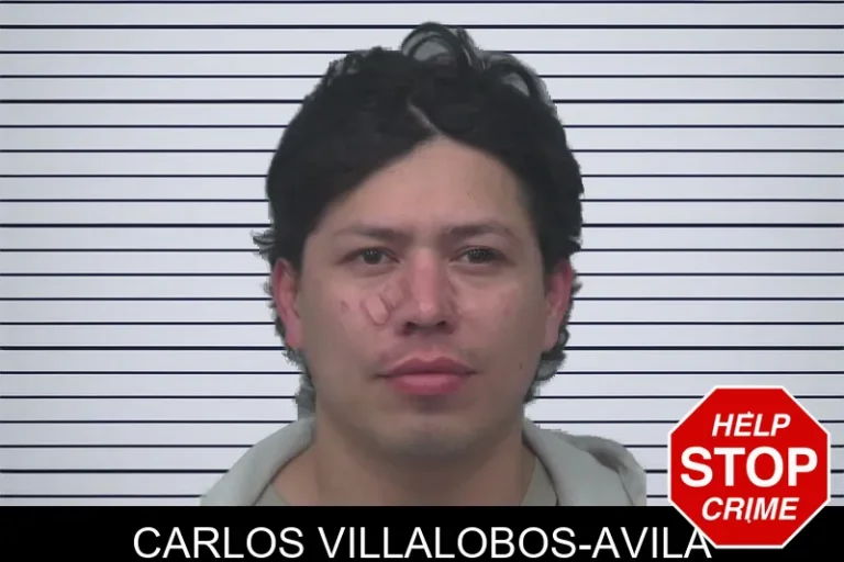 Carlos Villalobos-Avila