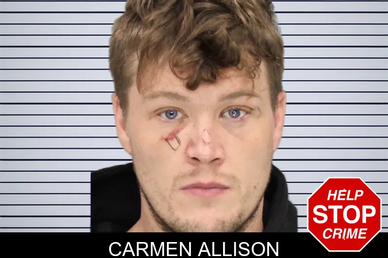Carmen Allison Mugshots