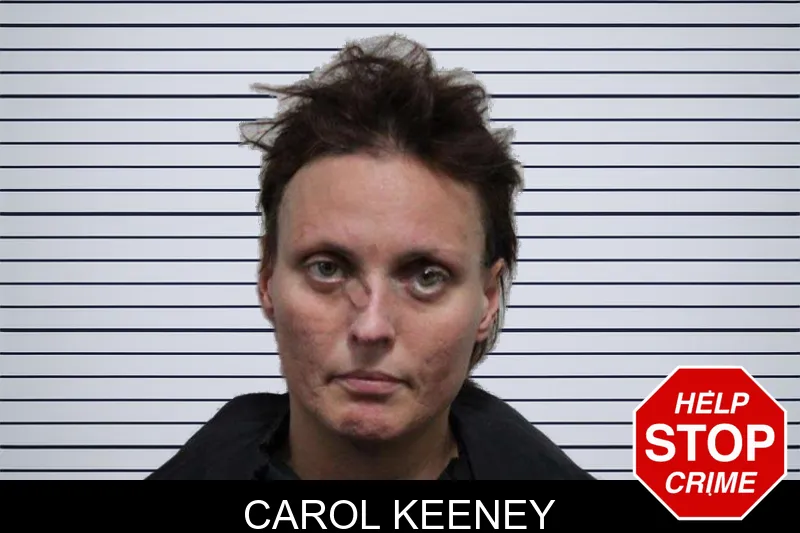 Carol Keeney Mugshots