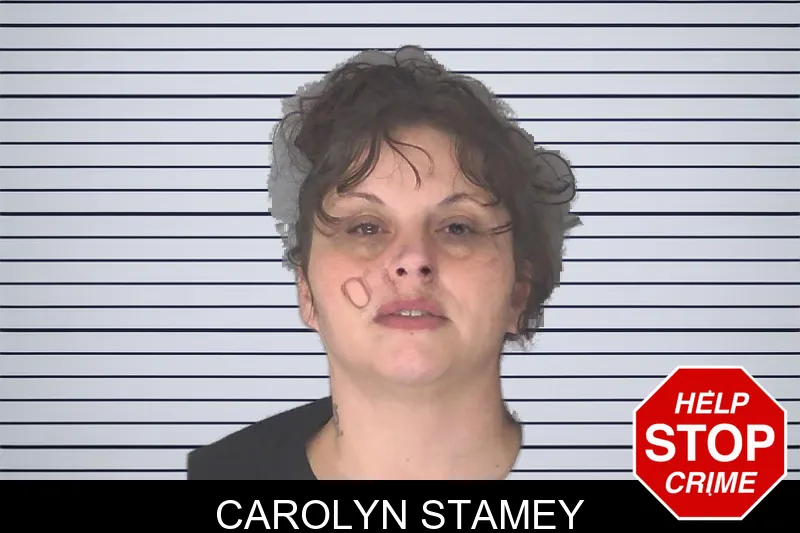 Carolyn Stamey Mugshots
