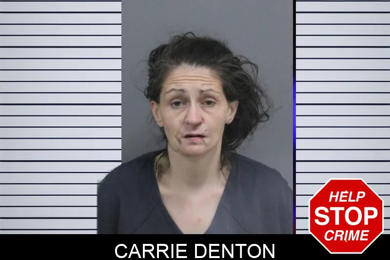 Carrie Denton mugshot – Catoosa County , Georgia Carrie Denton mugshot