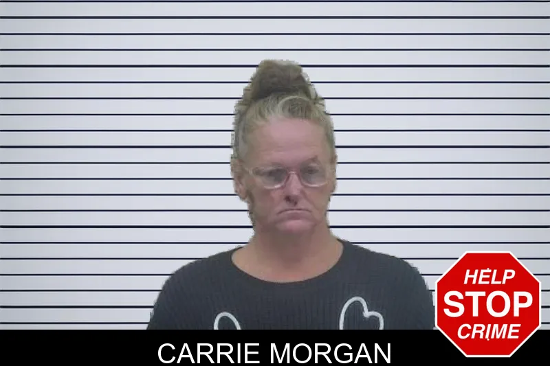 Carrie Morgan Mugshots