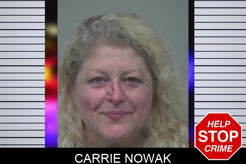 Carrie Nowak mugshot – Gwinnett County , Georgia Carrie Nowak mugshot