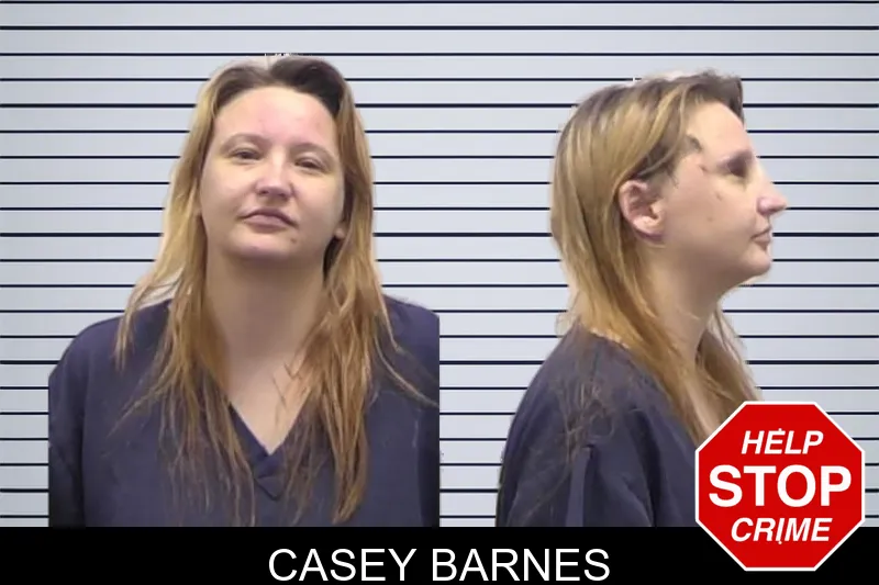 Casey Barnes Mugshots