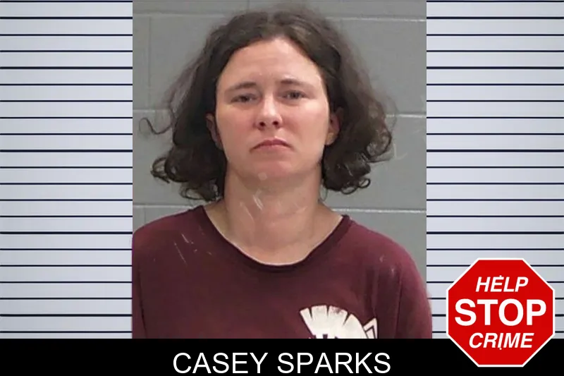 Casey Sparks Mugshots
