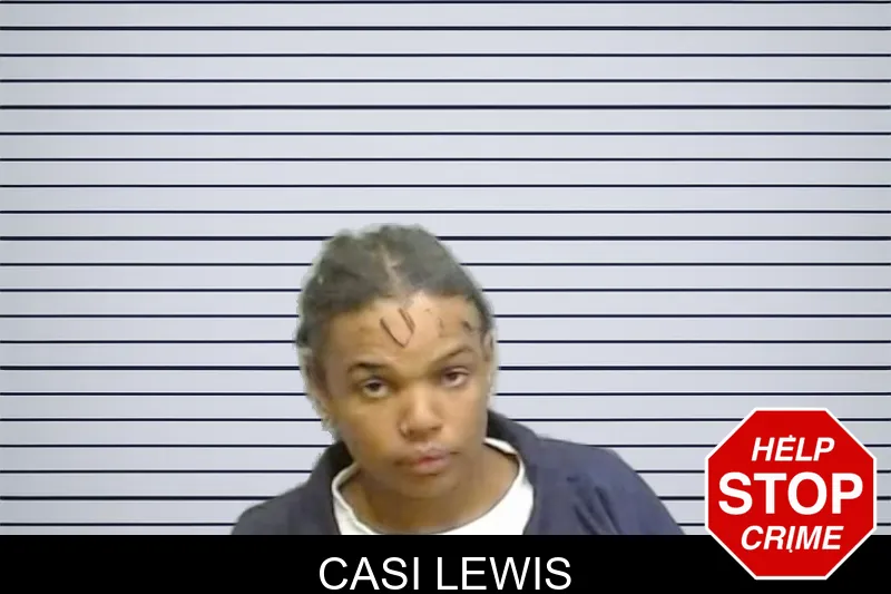 Casi Lewis mugshot