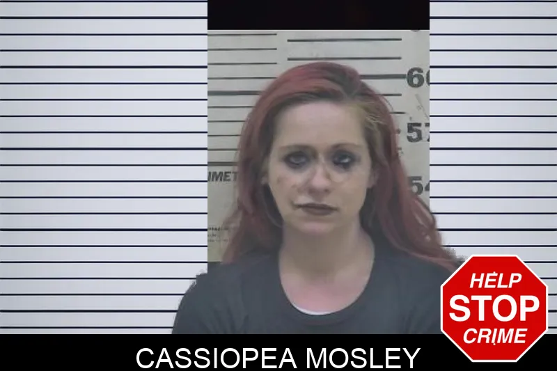 Cassiopea Mosley Mugshots
