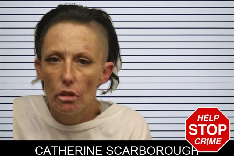 Catherine Scarborough mugshot – Chatham County , Georgia Catherine Scarborough