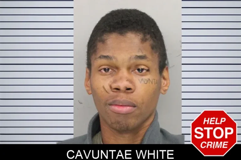 Cavuntae White