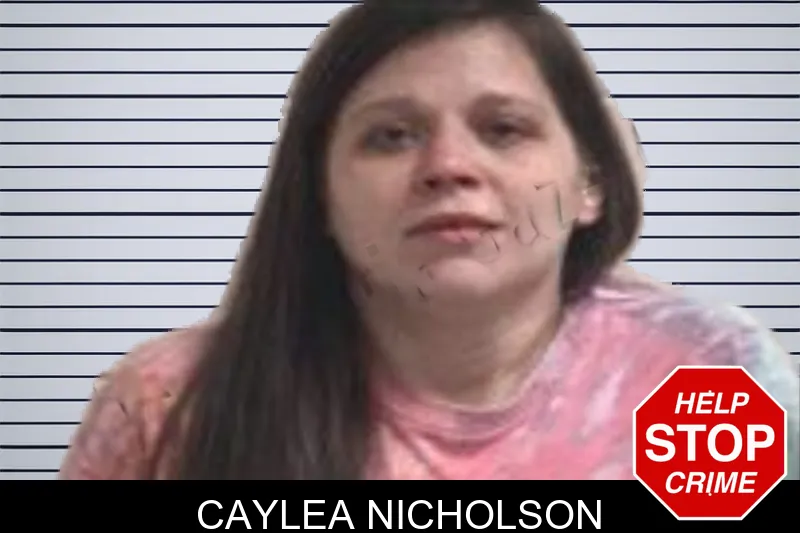 Caylea Nicholson Mugshots