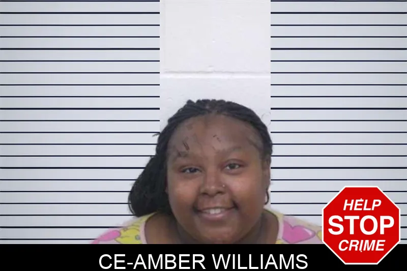 Ce-Amber Williams Mugshots