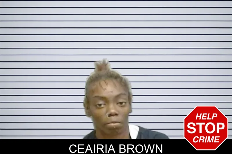 Ceairia Brown mugshot – Fulton County , Georgia Ceairia Brown mugshot