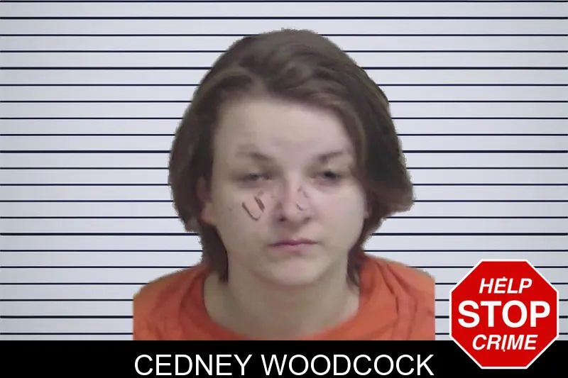 Cedney Woodcock Mugshots