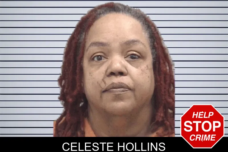 Celeste Hollins Mugshots