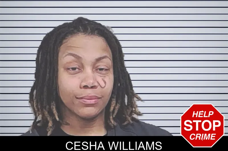 Cesha Williams Mugshots