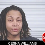Cesha Williams Mugshots