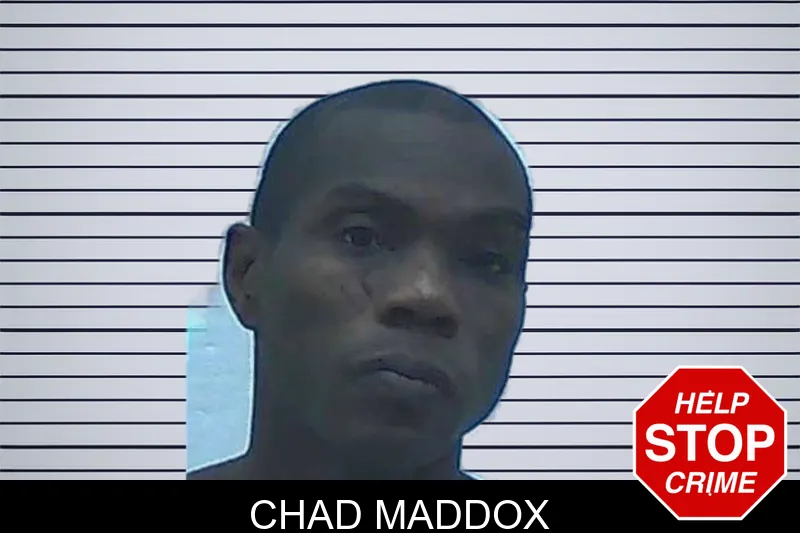 Chad Maddox Mugshots