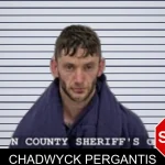 Chadwyck Pergantis Mugshots